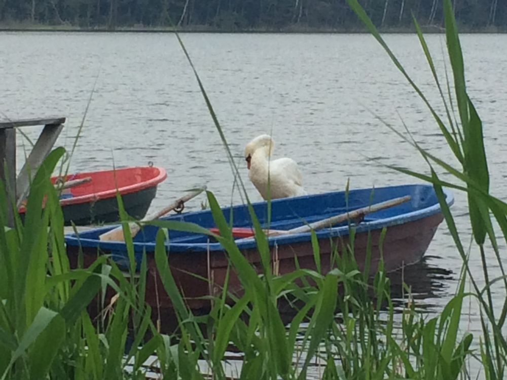 Studio Charly  (parking, WiFi)