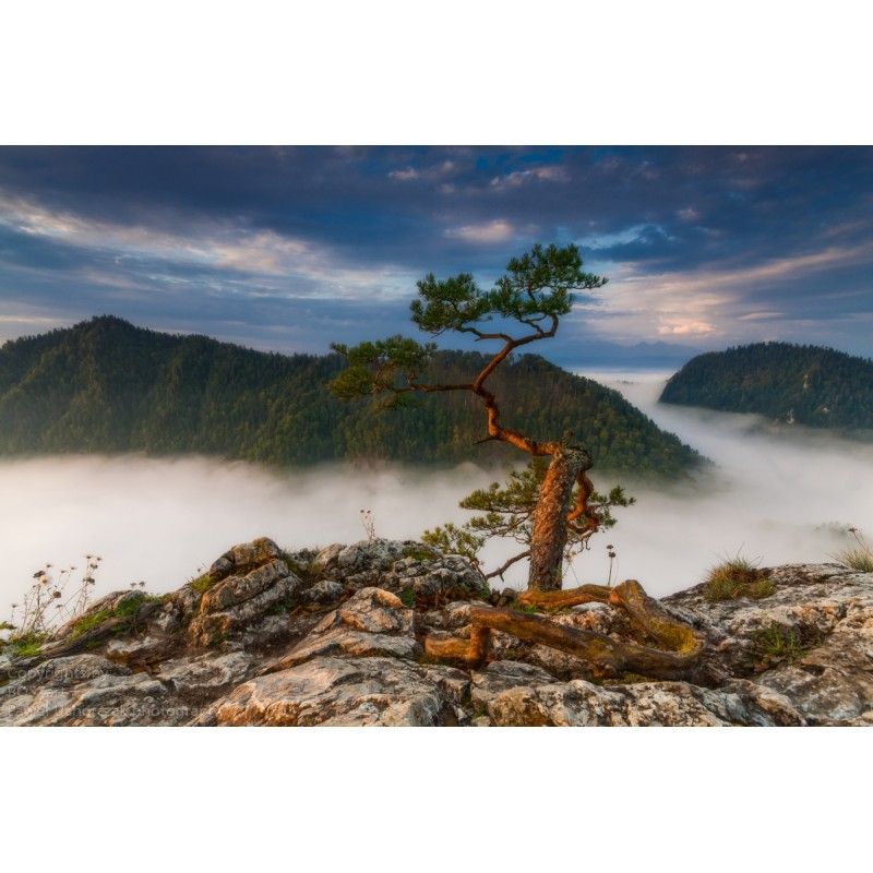 Noclegi w centrum Pienin!