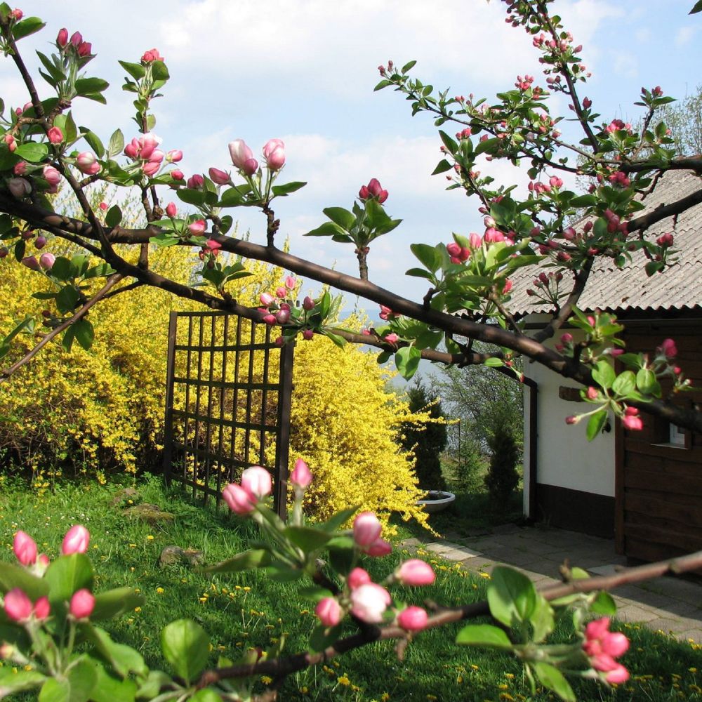 Centrum Wypoczynku Odys